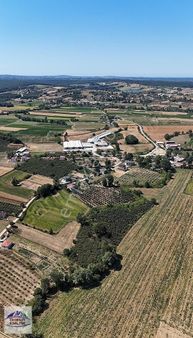 Cebesoy Emlak'tan Uzunalan Mahallesinde Satılık Fındık Bahçesi