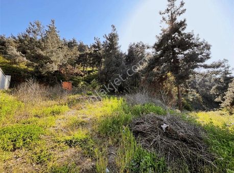 Hd'den Çalıda Manzaralı Arsa