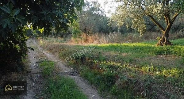 Hipotez'den Orhangazi Keramet'te Satılık Hisse...