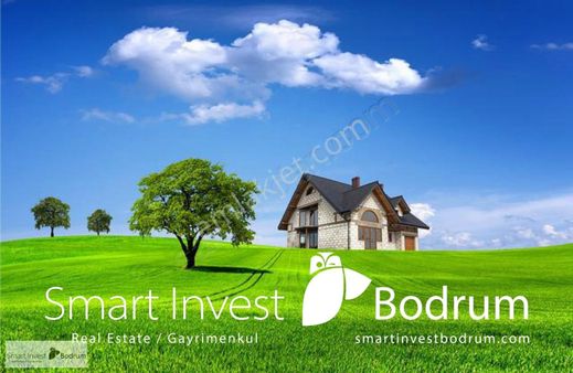 Bodrum Kızılağaçta Zeytinli Tarla Nitelikli 5754m2 Fırsat Arazi