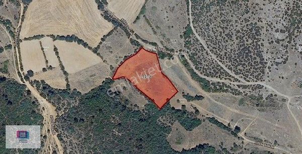 Dialog Değer Bursa Sındırgı Pürsünler'de Satılık Fırsat Tarla