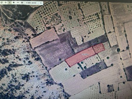 Kocaderede Satılık Villalık Arsa