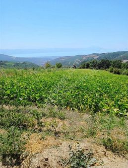 Kv Gayrimenkul'den İznik Gürmüzlü Mah. Yatırımlık Satılık Tarla