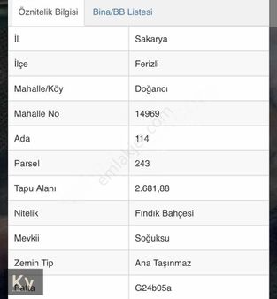 Kv Gayrimenkul'den Doğancı Osb Sınırı Satılık Fındık Bahçesi