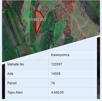 Erlife'den Karaoyumca Da Yatırımlık Tarla...takaslı...
