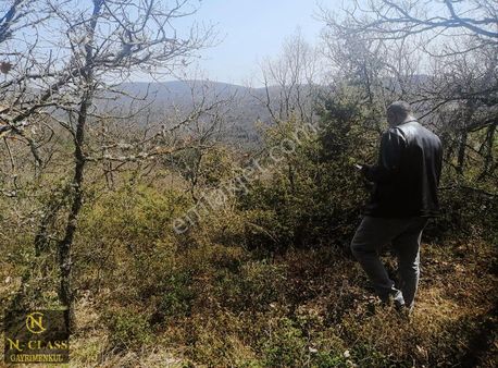 Bursa Yenişehir Marmaraçıkta Satılık Tarla