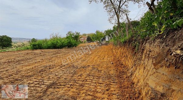 Sakarya Serdivan Beşevler Mah Satılık Villa İmarlı Arsa