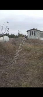 Acil Satılık 4626m2 Cevizlik