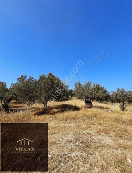 Villax'dan Gerenköy'de Satılık Tarla