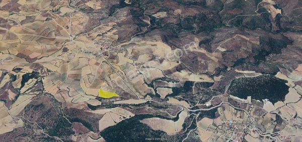 Kula Bayramşah Mah. De 12.294 M2 Satılık Zeytinlik