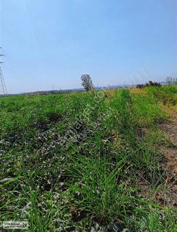 Ayrancılar Viya Emlaktan Satılık 10 Dönüm Tektapu İmar Sınırında