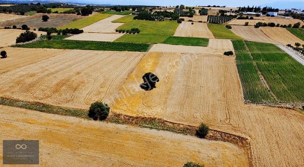 Nilüfer İrfaniye Yatırım İçin İdeal 9800 M2 Tarla