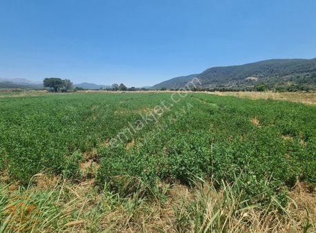 Yatağan Gökpınar Satılık 2.907 Metrekare Tarla