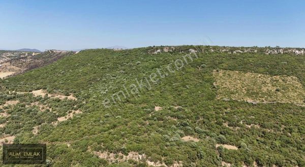 7 Dönüm Didim Bozseki De Satılık Tarla!!!
