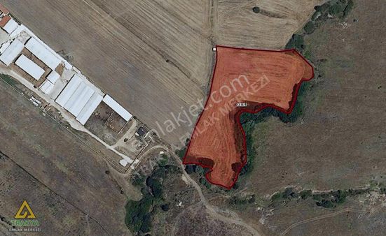 Kapaklıda Komple Mera Cephe 12 Dönüm Tarla, Çiftlik İçin Birebir