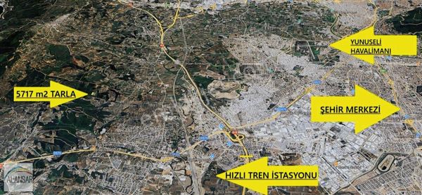 80 Adet Siyah İncir Ağaçlı Aksungur'un En Uygun Fiyatlı Tarlası