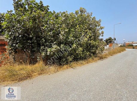 Ersan Özdemir İnşaattan Hamidiye'de İmarlı Satılık Kupon Arsa