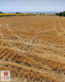 Kırklareli Babaeski Yeniköy Mahallesinde Satılık İfrazlı Tarla