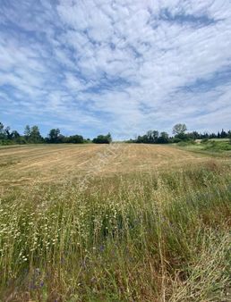 İncesu Da Uygun Fiyatlı Yatırımlık Tarla