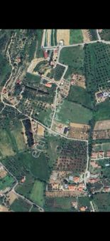 Urla Bademlerde Köye Çok Yakın Satılık Tarla