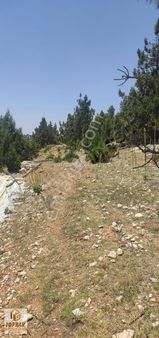 Erdemli Çerçili - Süpürgelik Te Satılık Kupon Tarla