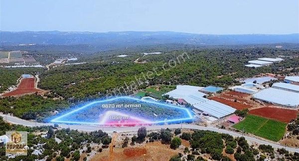 Veysellide Emsalsiz Fırsat