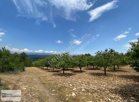 Keles Kıranışıklar ' Da 21.370 M². Satılık Meyve Bahçesi & Arazi