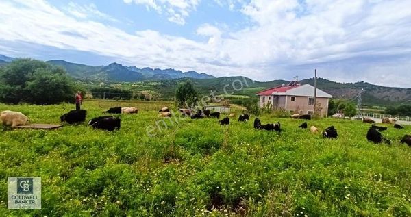 Tunceli De Villa Arsası Fırsatı