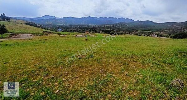 Lokasyon Ayrıcalıklı Arsa Fırsatı