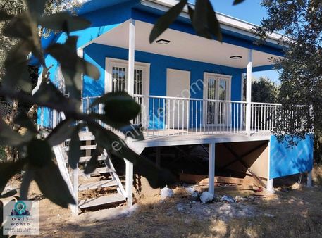 Karacabey Satılık Tarla Ve Bağ Evi