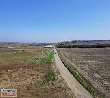 Yatırımlık Uygun Fiyatlı Arsalar