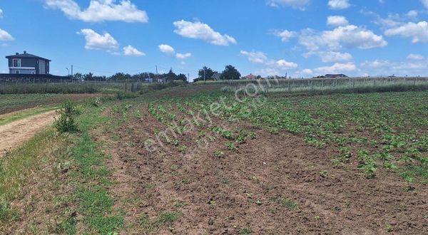 Tekirdağ Ergene Misinli Satilik Arsa.