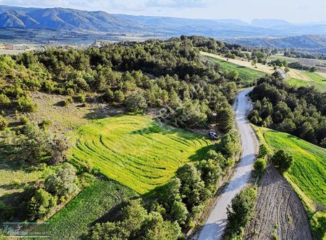 Bilecik Yenipazar Kösüre De Asflt Yola Cepeli Uygun Fiyata Arazi