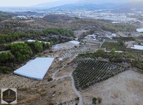 Antalya Kumluca Hasanağa Köyü Satılık Tarla