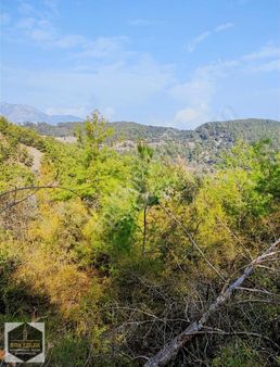 Bmk Emlaktan Satılık Adrasan Seylemitte Tarla