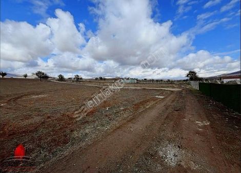 Kızılören Hanın Tam Arkası 7045m2 Satılık Tarla