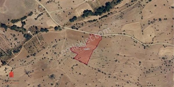 Asfalt Yola Cephe Karadiğinde 6900m2 Müstakil Tapu Satılık Tarla