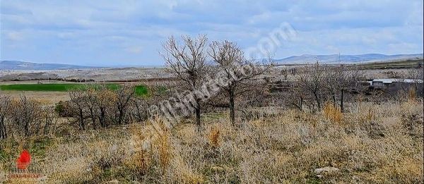 Pamukcu Sırtında Burayı Kaçırma 1888m2 Müstakil Satılık Tarla