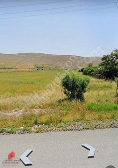 İstanbul Yoluna Cephe Gibi 14800m2 Satılık Tarla