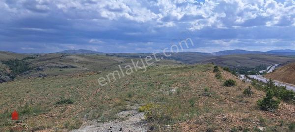 Çayırbağı Seydişehir Yoluna Cephe 1920m2 Hesaplı Satılık Tarla