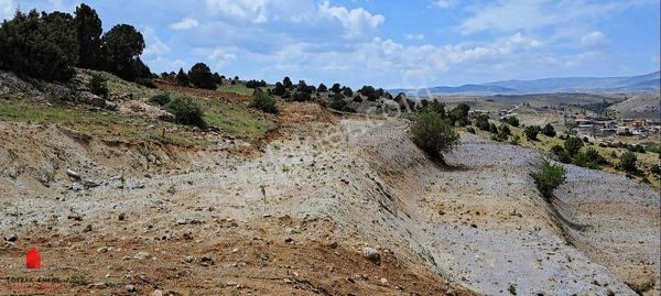 Toki'nin Arkasında 7000m2 Badem Ekili Satılık Tarla