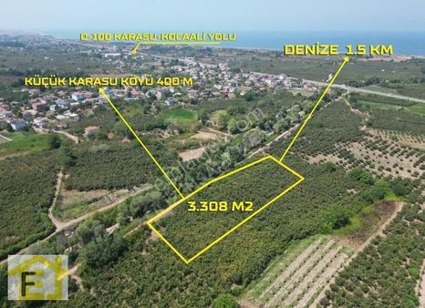 Karasu Kuyumculu'da 3.308 M2 Satılık Fındıklık