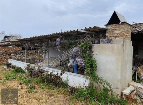 Aydın Yenipazar Da Hobi Bahçesi