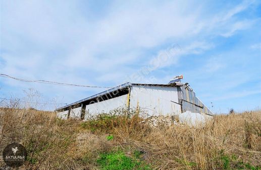 Çanakkale Biga Harmanlı Köyü 5525m2 Satılık Çiflik