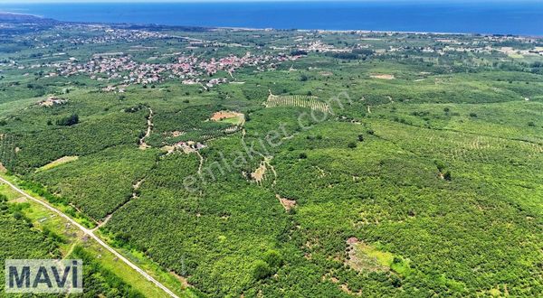 Remax Mavi Güvencesi İle Kuyumculu Satılık Fındık Bahcesi