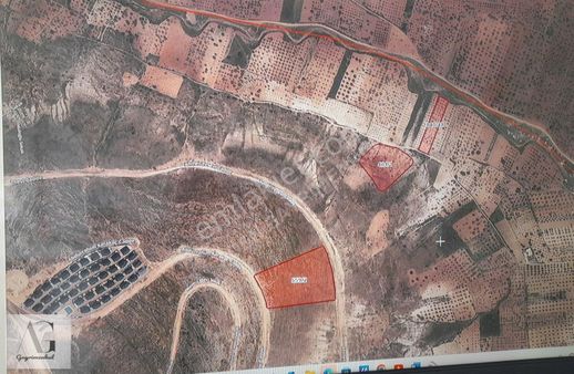 Korkun'de İmara Sıfır Yatırımlık Arazi