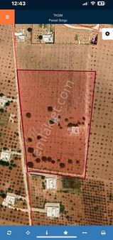 Hamurkesen Mah 19 Dönüm Fıstıklık