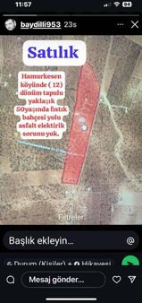 Suat Kılıç Tan Hamurkesen 12 Dönüm Fıstıklık