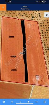 Suat Kılıç Tan Aşağı İçkara Satılık 11 Dönüm Fıstık Bahçesi