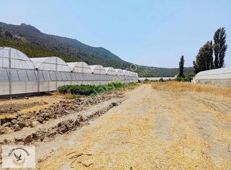 Falcon 'dan Seydikemer Saklikent'te Fırsat Tarla